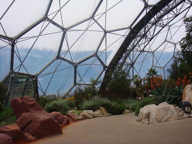 Geodesic dome in nature